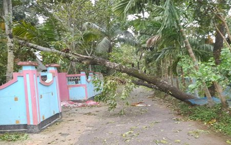 বড়লেখায় কালবৈশাখীর তাণ্ডবে ৫ শতাধিক ঘরবাড়ি ক্ষতিগ্রস্ত : বিদ্যুৎ সরবরাহ বন্ধ