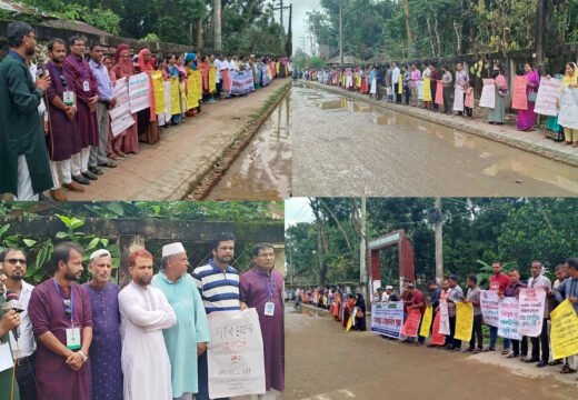 বড়লেখায় দশম গ্রেড বাস্তবায়নের দাবিতে সহকারী শিক্ষকদের মানববন্ধন