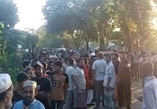 বড়লেখায় ‘চোরাই’ সন্দেহে ১১টি মহিষ আটক, এলাকায় উত্তেজনার পর ছেড়ে দিল বিজিবি