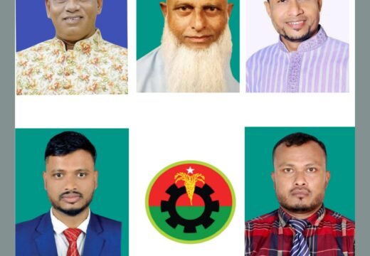 বড়লেখা পৌর বিএনপির কাউন্সিল: সভাপতি খোকন, সম্পাদক ললন
