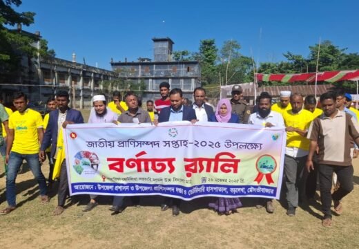 বড়লেখায় জাতীয় প্রাণিসম্পদ সপ্তাহের উদ্বোধন