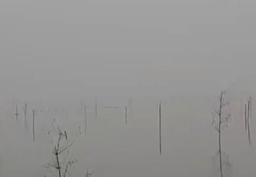 হাকালুকির হাওরখাল বিল মাছলুটের মহোৎসব