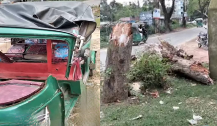বড়লেখায় চলন্ত অটোরিকশার ওপর গাছ ভেঙে পড়ে প্রাণ গেল নারীর, আহত ২