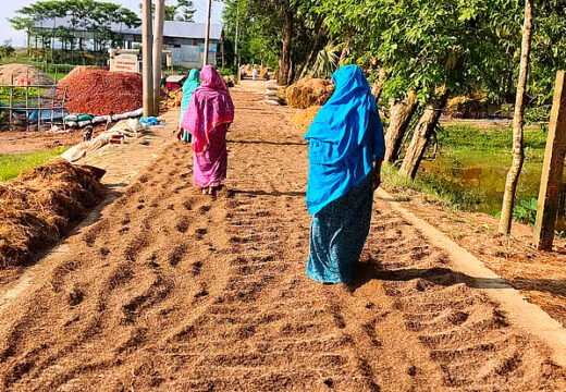 হাকালুকি হাওরপারের বাতাসে ভেজা-পচা ধানের গন্ধ