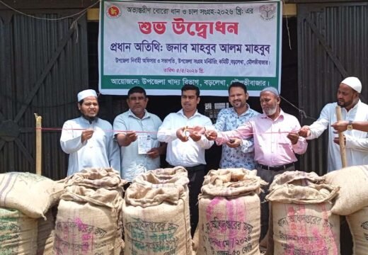 বড়লেখায় বোরো ধান-চাল সংগ্রহ শুরু