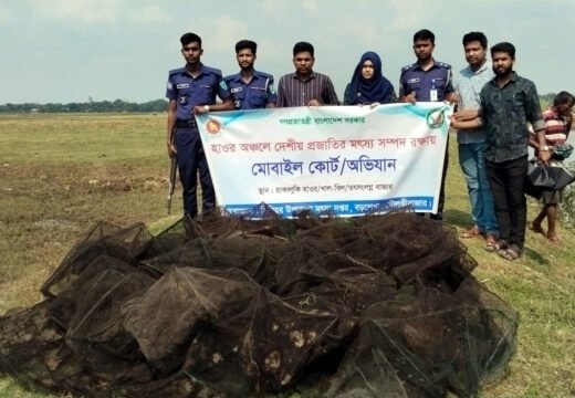 বড়লেখার দর্শনা খালে অভিযানে দুটি অবৈধ বাঁধ অপসারণ ও রিং জাল ধ্বংস