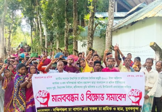 বড়লেখায় মজুরি বাড়ানোসহ ৫ দফা দাবিতে চা শ্রমিকদের কর্মবিরতি ও বিক্ষোভ