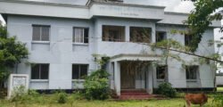 বড়লেখার ছয় বছরেও চালু হয়নি বর্ণি ইউনিয়ন স্বাস্থ্য কেন্দ্র, মাঠে চরে গরু-ছাগল