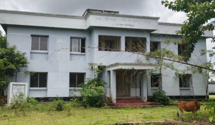 বড়লেখার ছয় বছরেও চালু হয়নি বর্ণি ইউনিয়ন স্বাস্থ্য কেন্দ্র, মাঠে চরে গরু-ছাগল