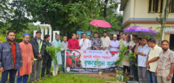 বড়লেখায় জুলাই শহীদদের স্মরণে সহকারী শিক্ষক সমিতির মাসব্যাপী বৃক্ষরোপণ কর্মসূচির উদ্বোধন