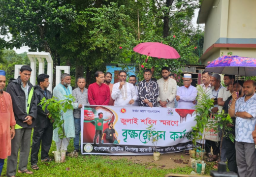 বড়লেখায় জুলাই শহীদদের স্মরণে সহকারী শিক্ষক সমিতির মাসব্যাপী বৃক্ষরোপণ কর্মসূচির উদ্বোধন