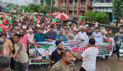 বড়লেখায় বিএনপির ৪৮তম প্রতিষ্ঠাবার্ষিকী পালন